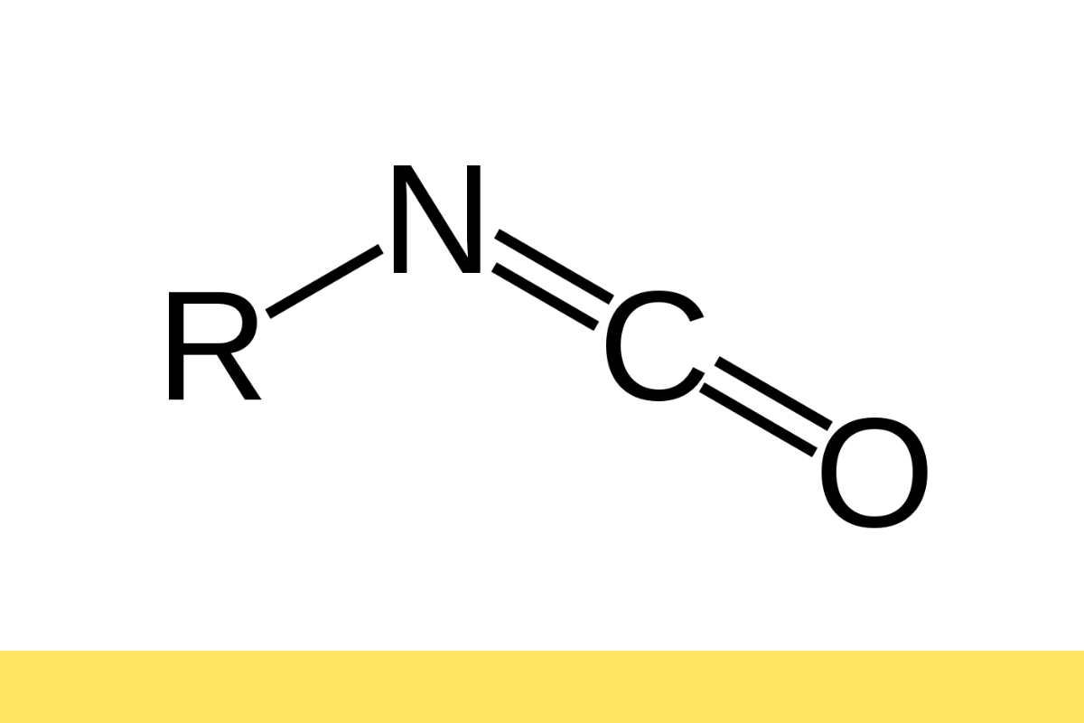 Diseño sin título (28)
