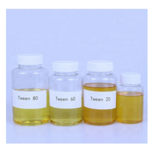 TWEEN 20 - 60 Y 80