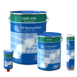 SKF LGGB 2